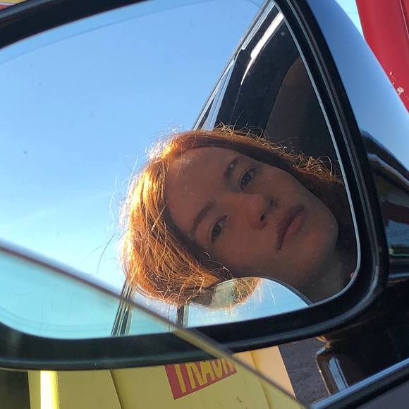 Meet your Posher, Ginger - Picture 1 of 1